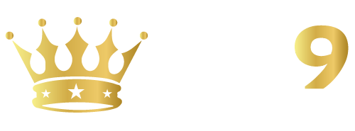 yn9 logo